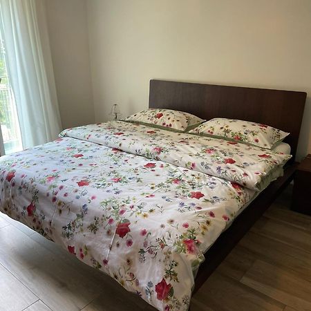 Appartamenti Ramarro Ronco sopra Ascona Zewnętrze zdjęcie